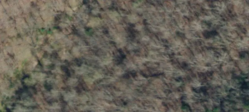 Agricultural Land with Horse Barn