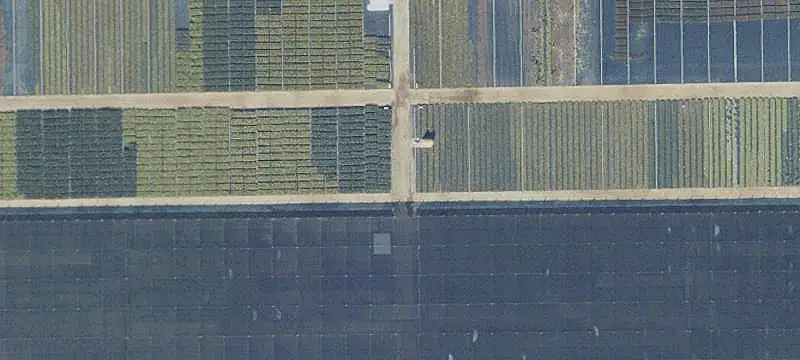 Avocado Grove Farm