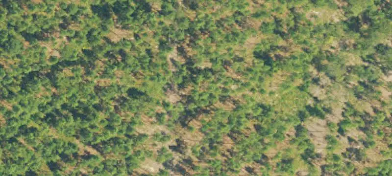 Recreational Hunting Land