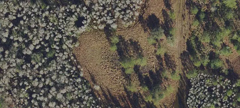 Lots/Land
