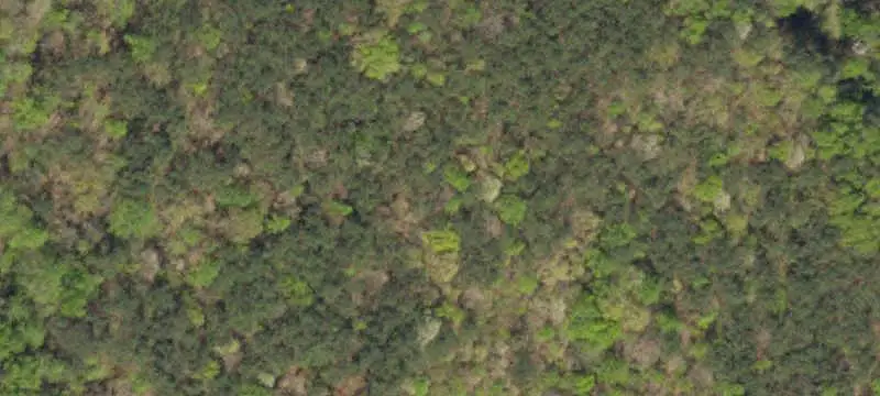 Land Parcel
