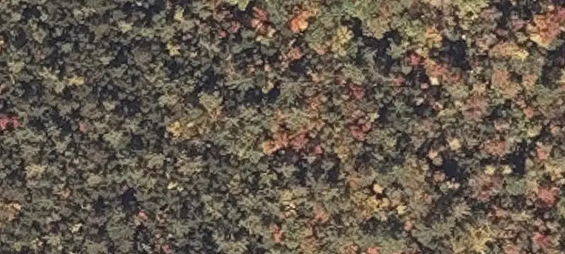 Mountain Recreation Land