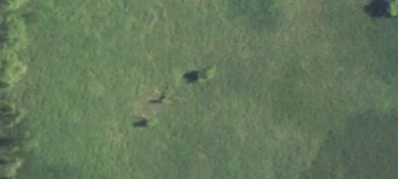Agricultural Land