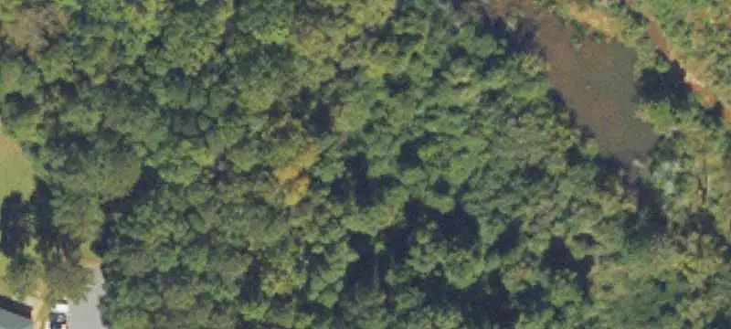 Land / Unimproved Land