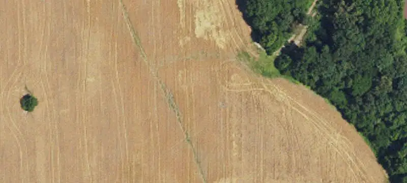 Farmland With Four Parcels