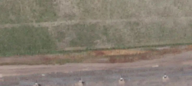 Equestrian Property with Runway