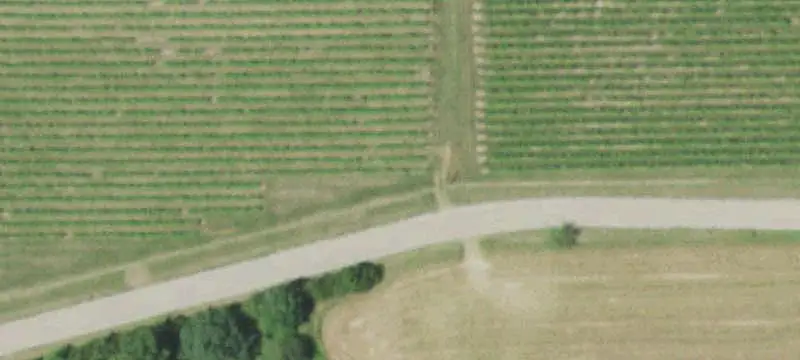 Fenced Farm with Timber and Pasture
