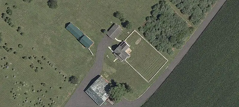 Agricultural Farm with Christmas Tree Nursery