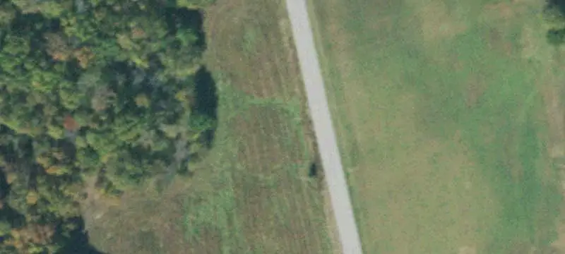 Rolling Agricultural Land with Creek