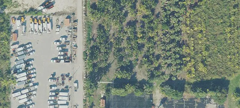 Fenced Longan and Lychee Farm