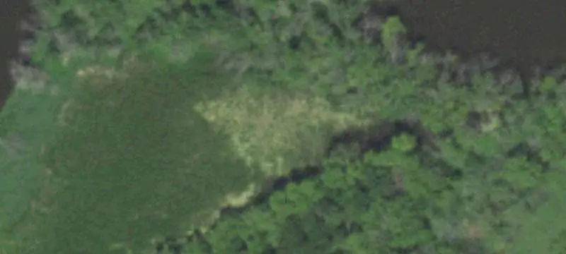 Wooded Hunting Land