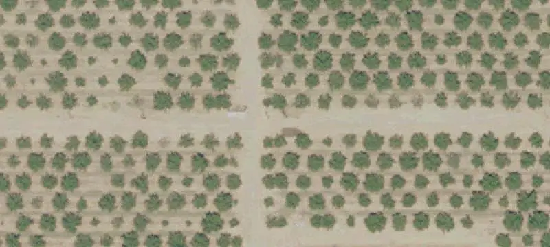 Walnut Farm with Ag Wells