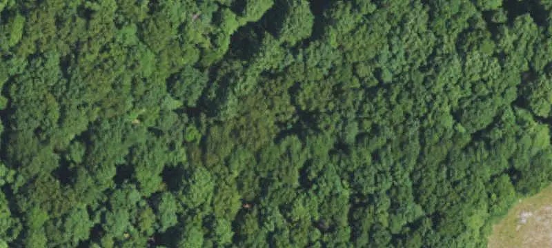 Private Hunting Land with Cabin