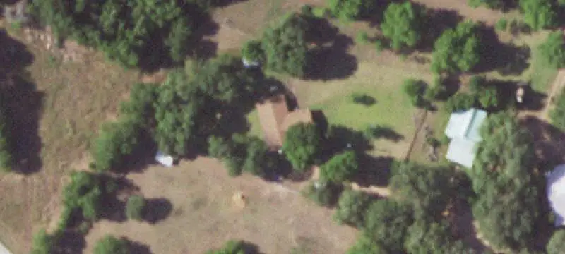 Large-Scale Pecan Farm