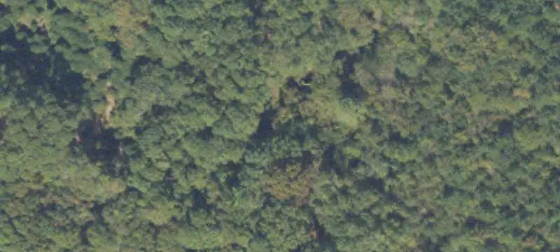 Wooded Agricultural Land