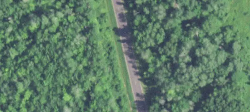 Wooded Agricultural Land