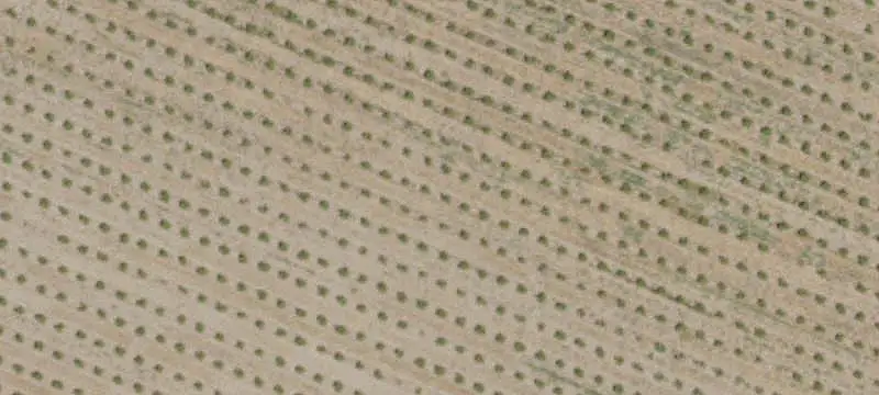 Agricultural Land with Irrigation Access