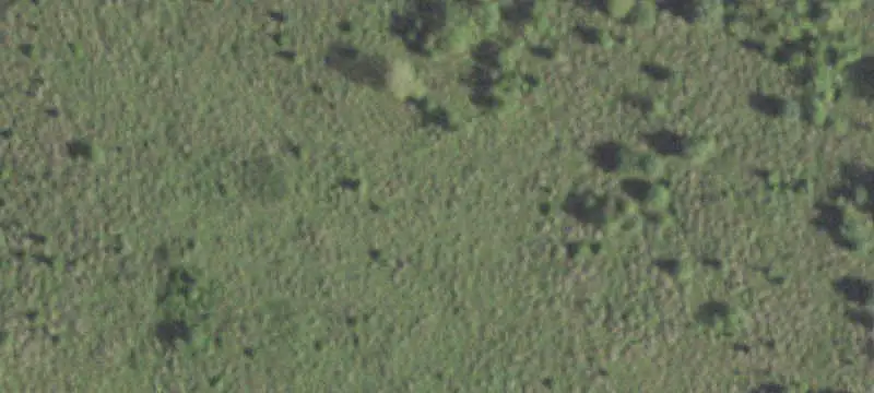 Ranch with Four-Sided Road Frontage