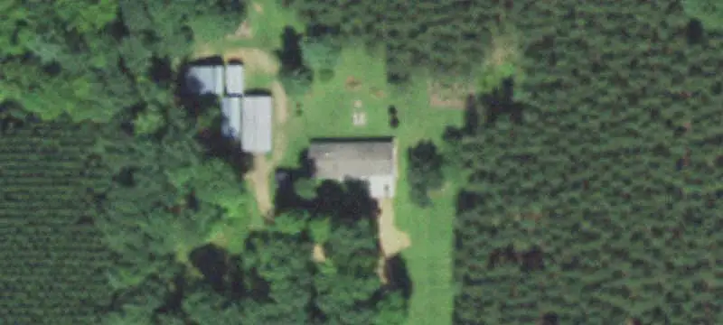 Wooded Hunting Land