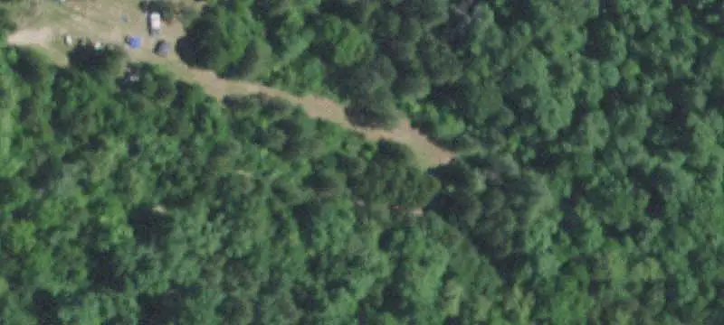 Hunting Land with Timber
