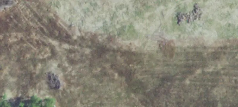 Land