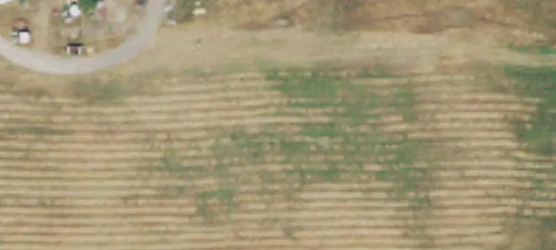 Tractor Supply Retail Property