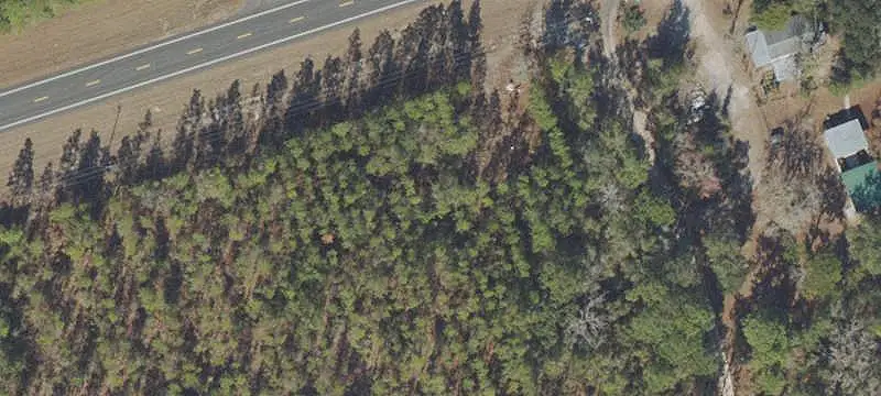 Mature Timberland Tract