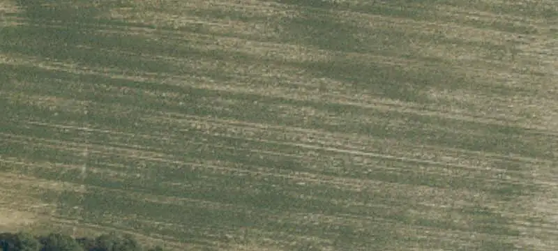 Agricultural Land with Timber