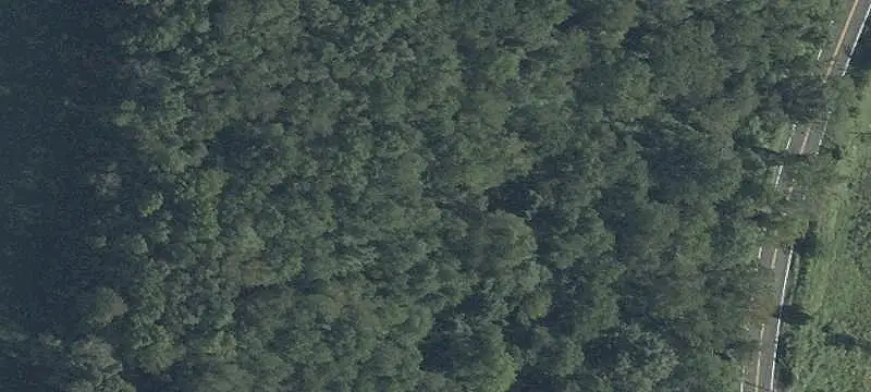Lots And Land