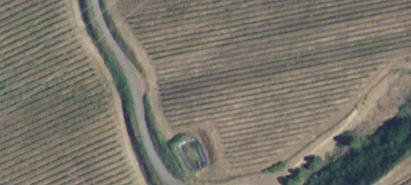 Estate Winery and Vineyards