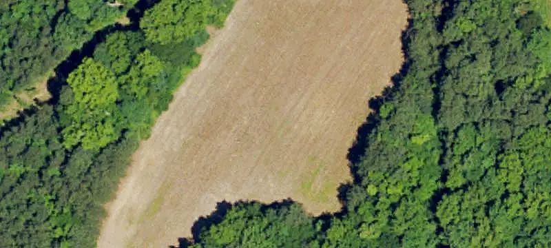 Lots/Land