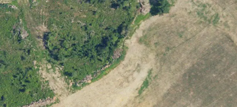 Timbered Land with Three Ponds