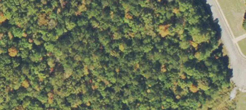 Unimproved Land