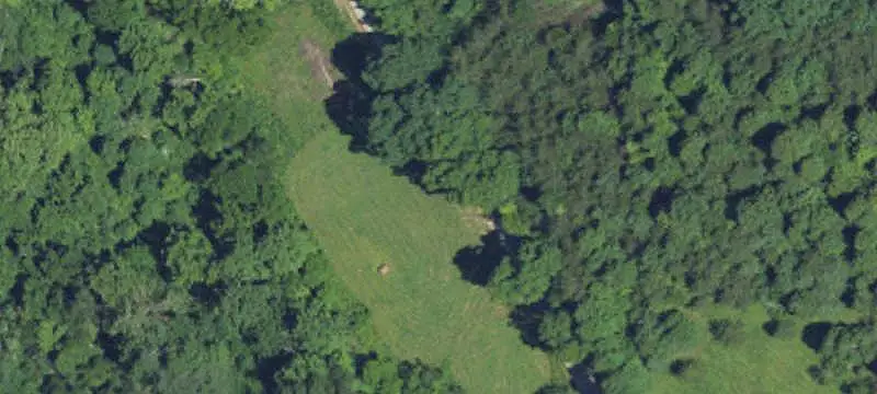 Hunting Land with Cabin