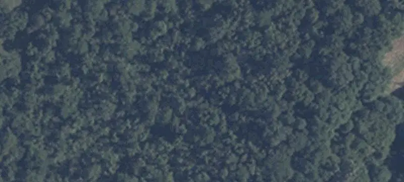 Unimproved Land