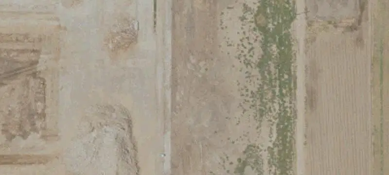 Agricultural Farm Land