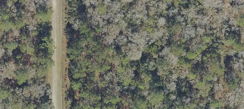 Lots And Land / Land/Acreage