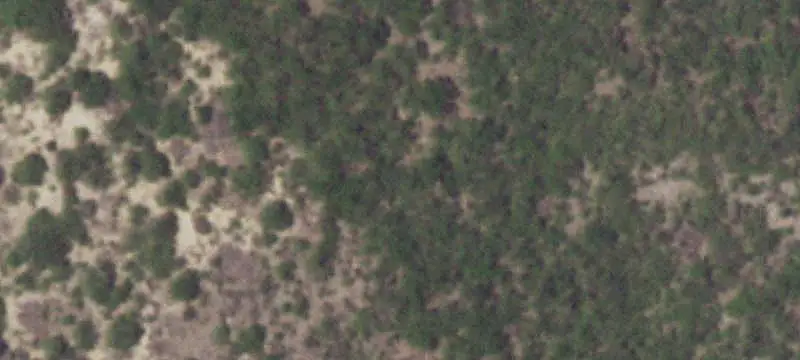 Hunting Land with Native Brush