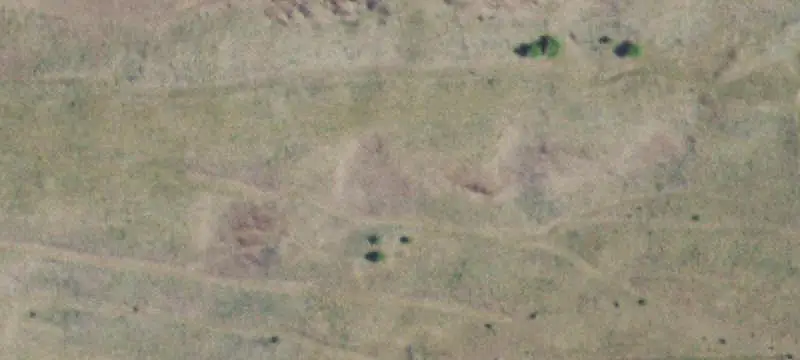 Agriculture