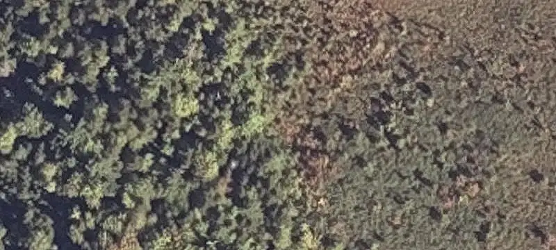Land
