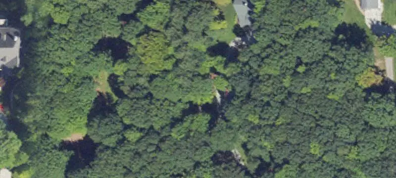 Lots/Land