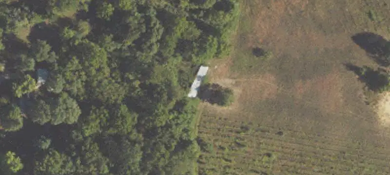 Blueberry Farm with Acreage