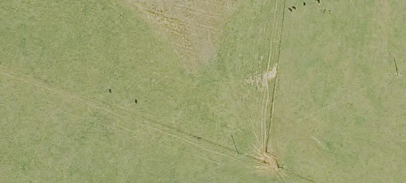 Farm Property With Two Homes