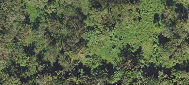 Commercial Land