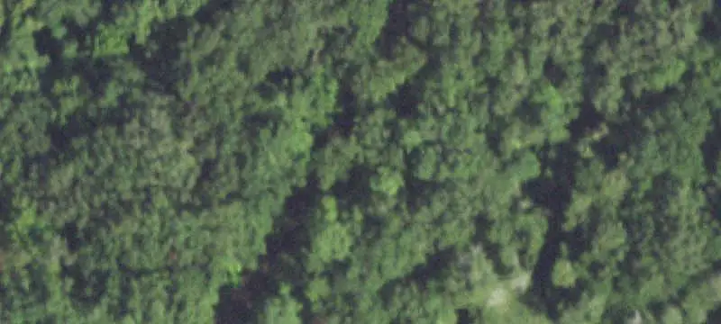 Managed Timberland Recreation Tract