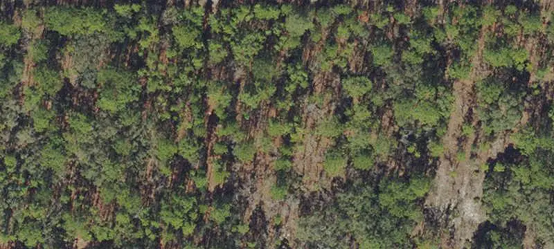 Lots/Land