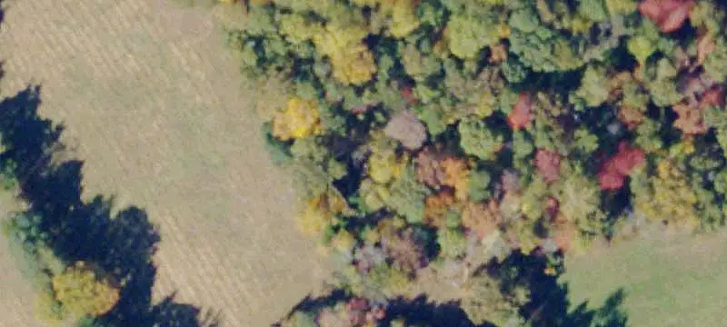 Agricultural Land Parcel