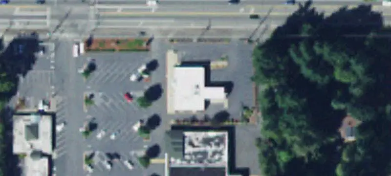Chase Bank Absolute NNN Property
