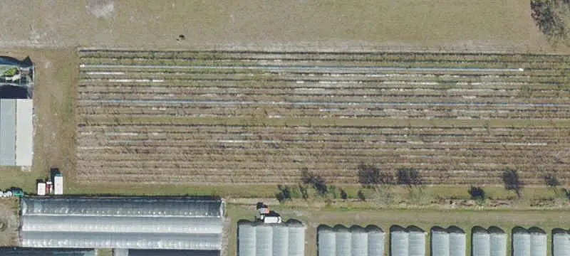 Fenced Agricultural Land With Building
