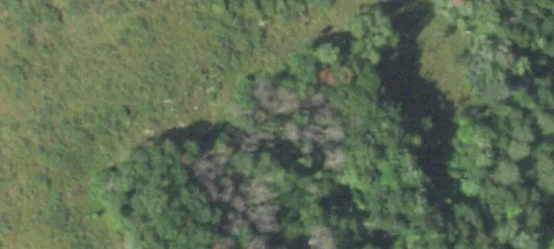 Wooded Hunting Land With Cabin